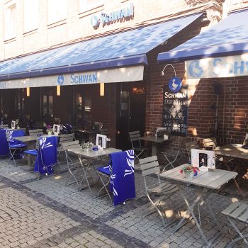 Schwan am Burgplatz Duesseldorf-Altstadt